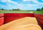 Agricultural Bulk Commodities - Image 5