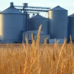 Agricultural Bulk Commodities