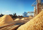 Agricultural Bulk Commodities - Image 4