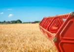 Agricultural Bulk Commodities - Image 2